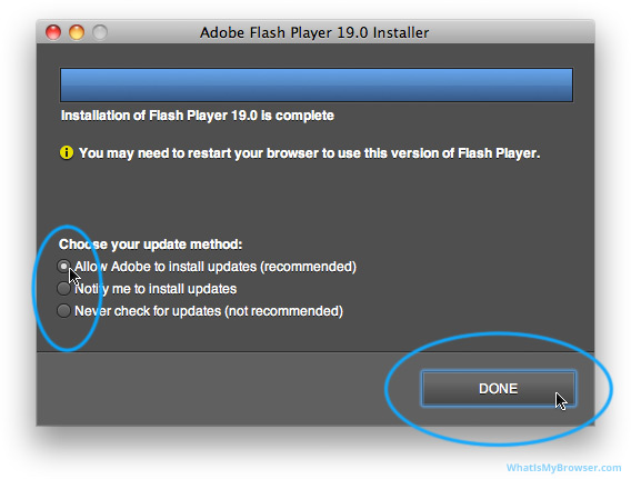 download adobe flash player for mac version 10.5.8